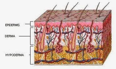 Odos sluoksniai ir rentgeno spindulių skverbtis