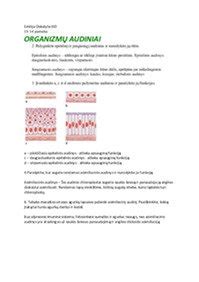 Audinių palyginimas: natūralios vs. sintetinės
