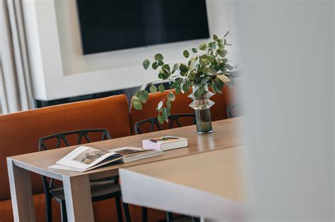 jaukus globos namų interjeras ir aplinka