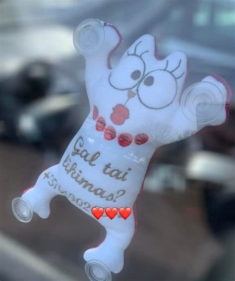 Įvairūs automobilio aksesuarai, tarp jų ir pakabinami kiaušiniai