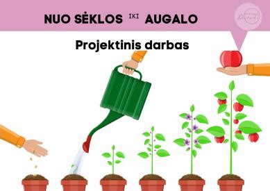 Pateiktis su įvairiomis priemonėmis nuo pykinimo