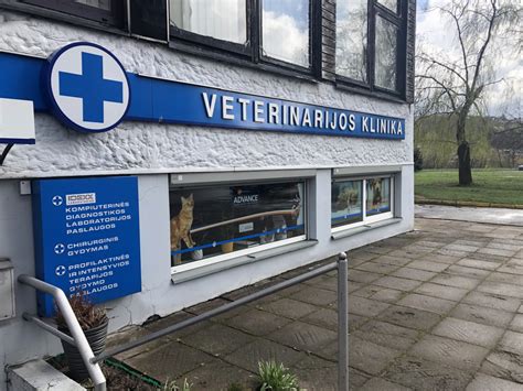Sužalotų gyvūnų gydymas ir veterinarijos paslaugos Alytuje