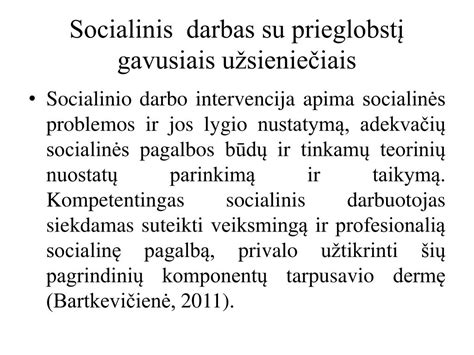 Savanorių darbas su benamiais gyvūnais