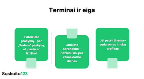 Schema kaip pateikti prašymą per SPIS