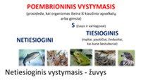 Paukščių kiaušinio vystymasis ir 