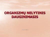 Hidros nelytinis dauginimasis pumpuravimo būdu