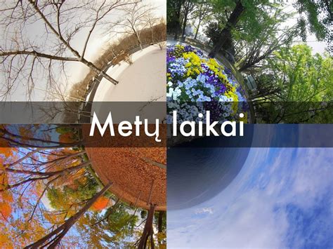 Metų laikai