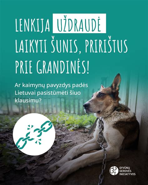 DĖK’ui dalijimosi iniciatyvos pavyzdys
