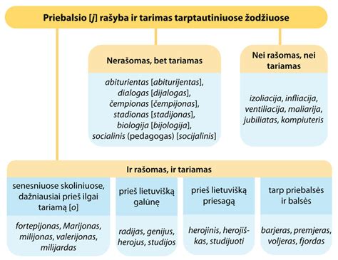tarptautinių išmokų taisyklės