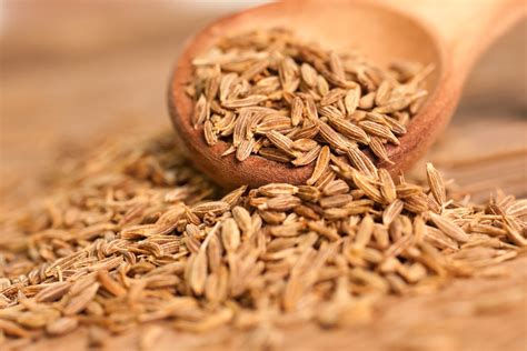 Kuminas ir jo sėklos