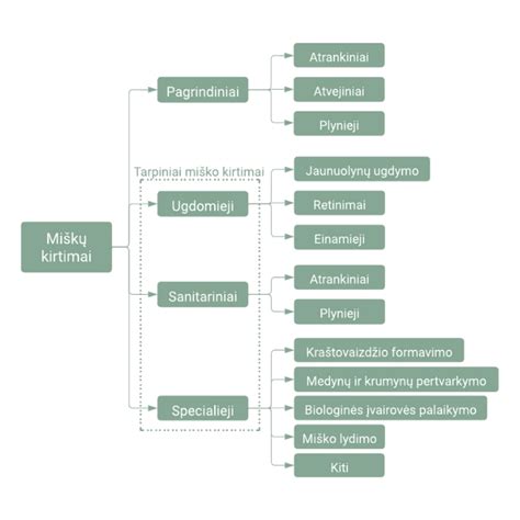 Infografika: Mįslių žanrų klasifikacija