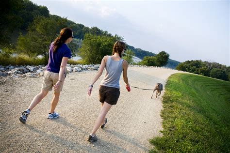 agresyvių šunų laikymo taisyklės