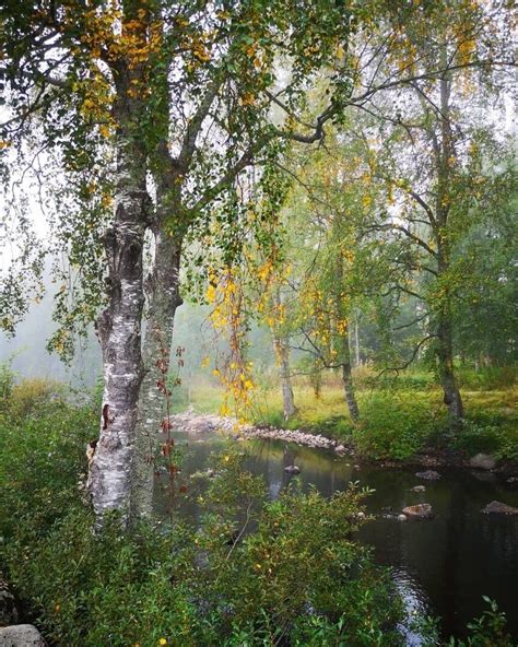Gražus gamtos peizažas