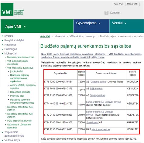 VMI deklaracijos pavyzdys su pažymėtu 17-uoju langeliu