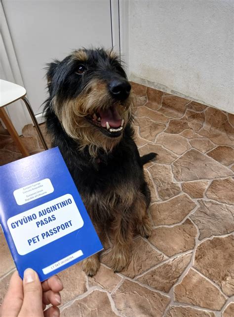 Gyvūnų gerovės tarnyba Kėdainiuose