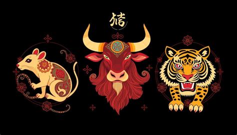 Kinų zodiako Tigro ir Kiaulės suderinamumas