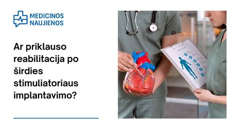Šunto implantavimo schema