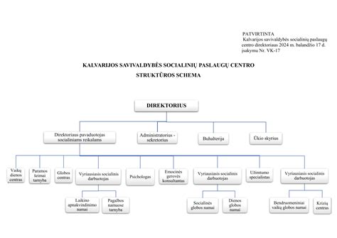 socialinės globos paslaugų tipų schema