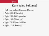 šviežio kiaušinio trynio ir baltymo struktūra