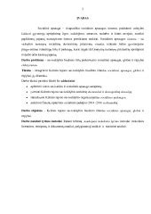 Valstybės paramos srautų schema socialinei globai