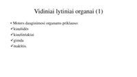 anatomija: moters reprodukcinė sistema ir vaisiaus vystymasis