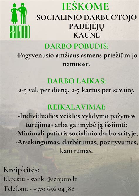 Socialinio darbuotojo kasdienės veiklos schema