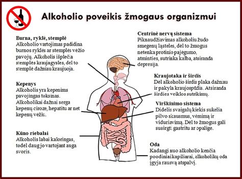 Alkoholio poveikis vaisiaus vystymuisi schema