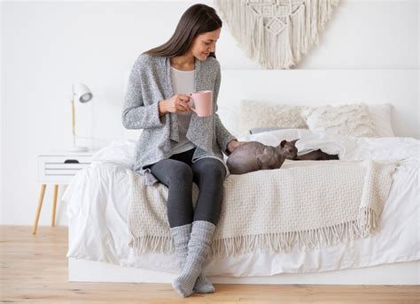 Katės nėštumo požymiai: patinę speneliai