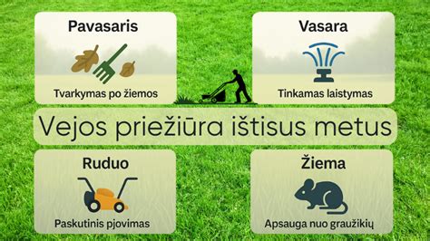 Kaip prižiūrėti vilnonius gaminius