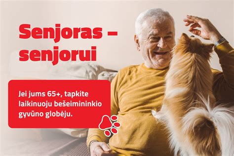 senjoras jaukiame kambaryje globos namuose