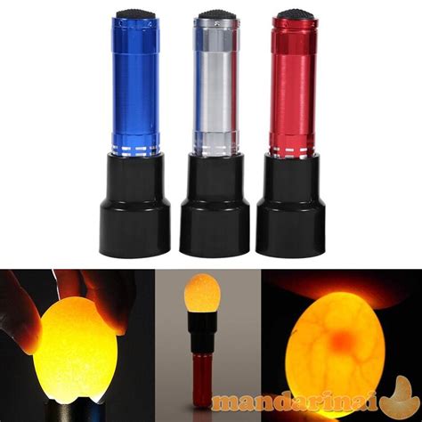 Ovoskopas peršviečiantis kiaušinį