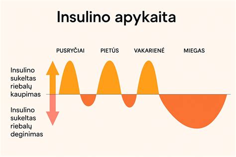 schemą kaip veikia insulinas