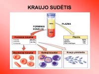 Kraujo krešėjimo schema