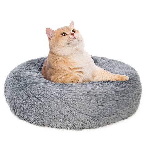 Paruoštas gimdymo guolis katei