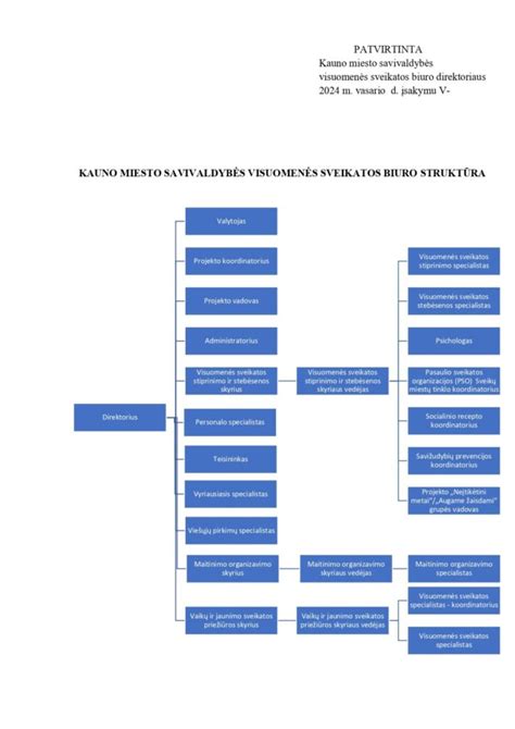 Kauno ligoninės struktūros schema