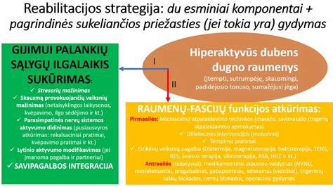 Schema, iliustruojanti raumenų tonuso sutrikimus