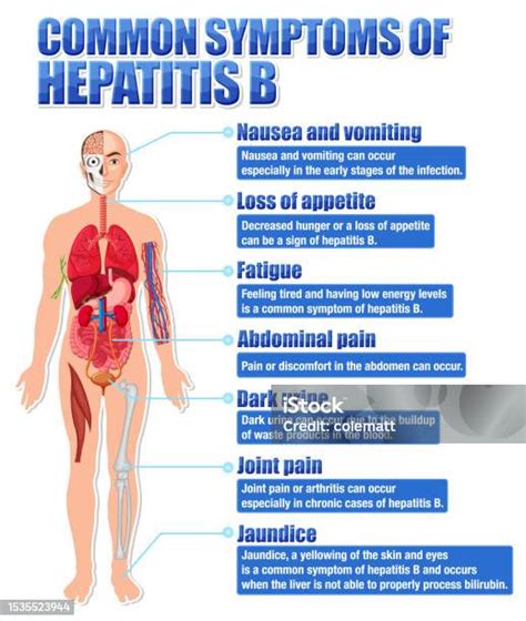 Infografika: Hepatito B skiepijimo schema