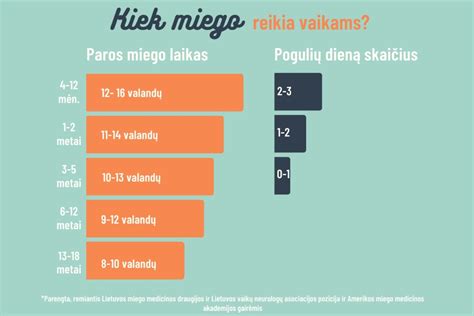 Vaikų miego fazių schema