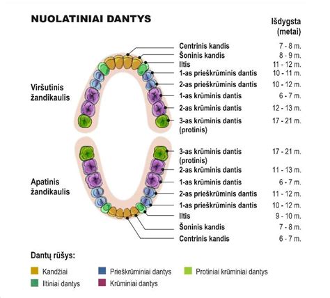 Kūdikio dantenos, kai dygsta dantys