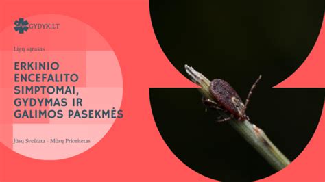 Erkinio encefalito perdavimo būdai ir simptomai