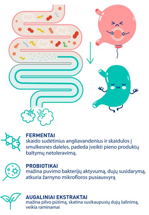 moters pilvo pūtimo grafikas