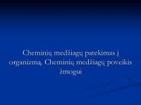 Kenksmingų medžiagų patekimas per placentą
