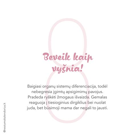 Antrasis trimestras, vaisiaus augimas