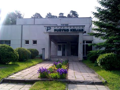 Pušyno kelio sanatorijos baseino aplinka