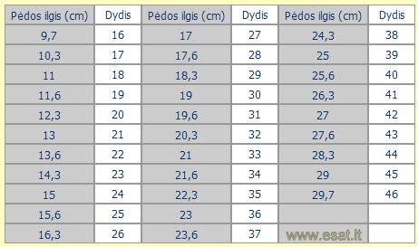 Avalynės dydžių lentelė