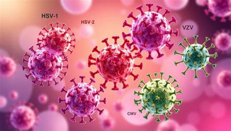 Herpes virusų tipai ir jų pasireiškimo vietos