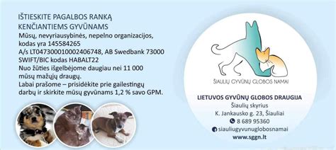 Savanoriai rūpinasi beglobiu gyvūnu
