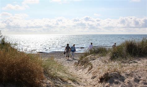 Samdyti žudikai iš Estijos ir jų ryšiai