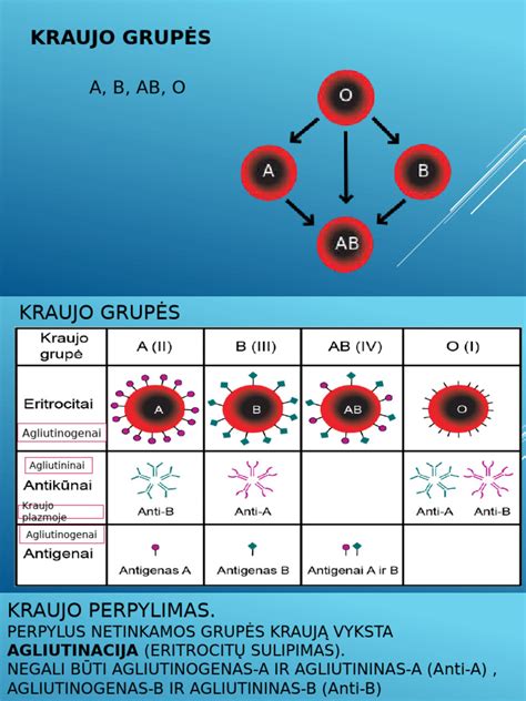 Kraujo grupės ir Rh faktoriaus nustatymas