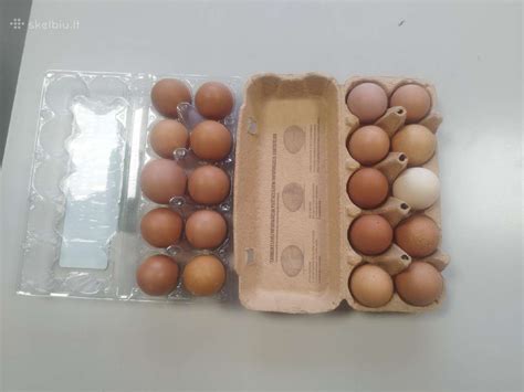 Naminiai vištų kiaušiniai